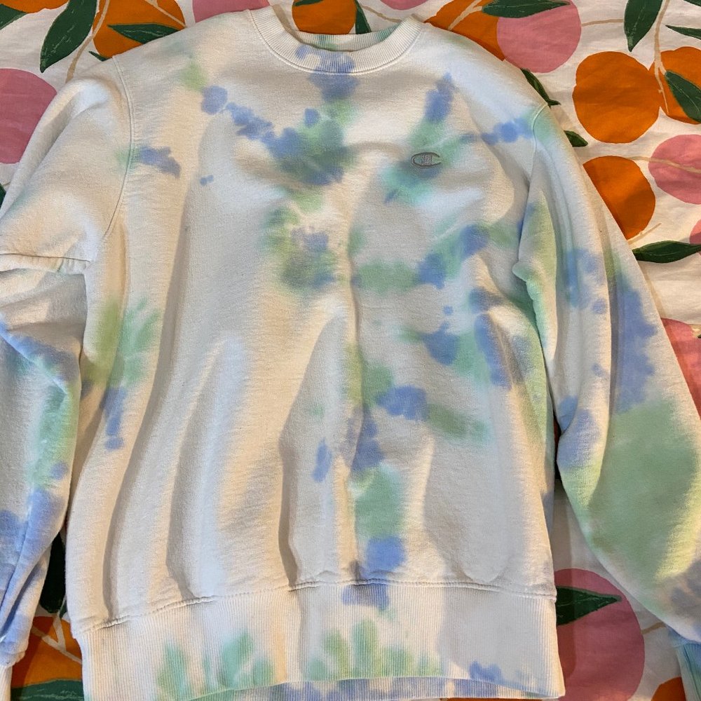 Tie Dyed Champion Hoodie